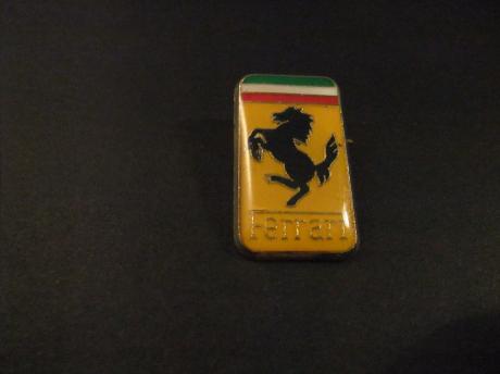 Ferrari sportwagen logo groot paard